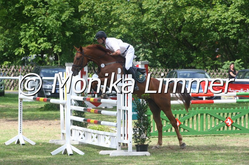 308M5240_Dornadello_Springpferde Mx.JPG